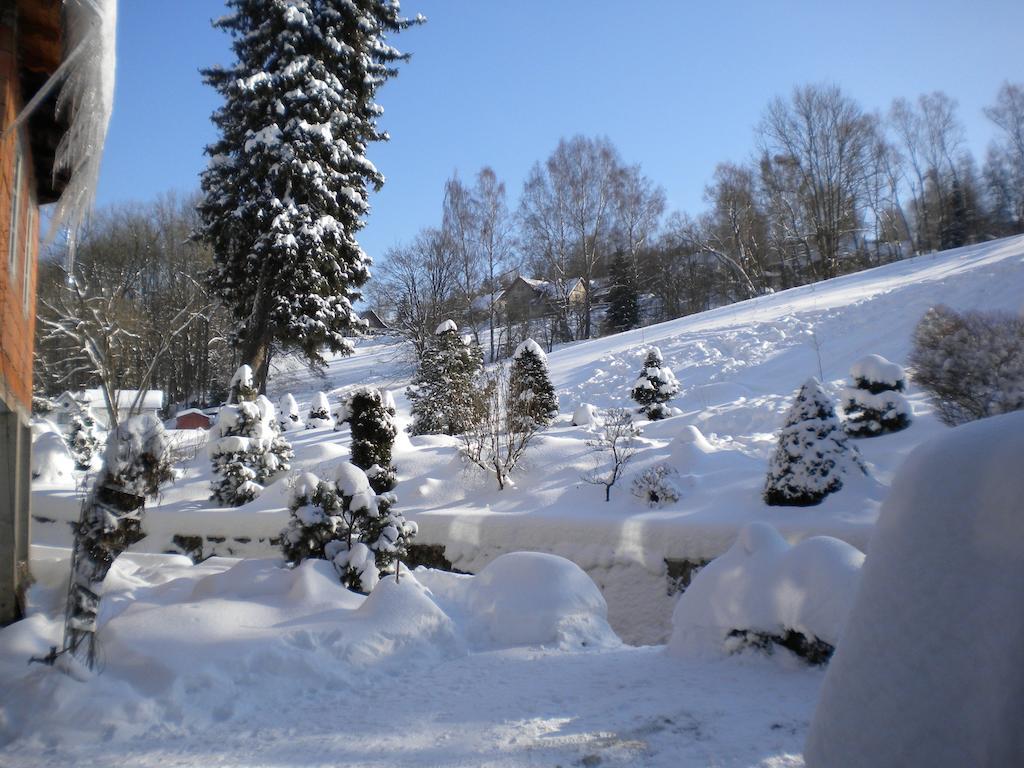 Pension Amálka Rokytnice nad Jizerou Exterior foto